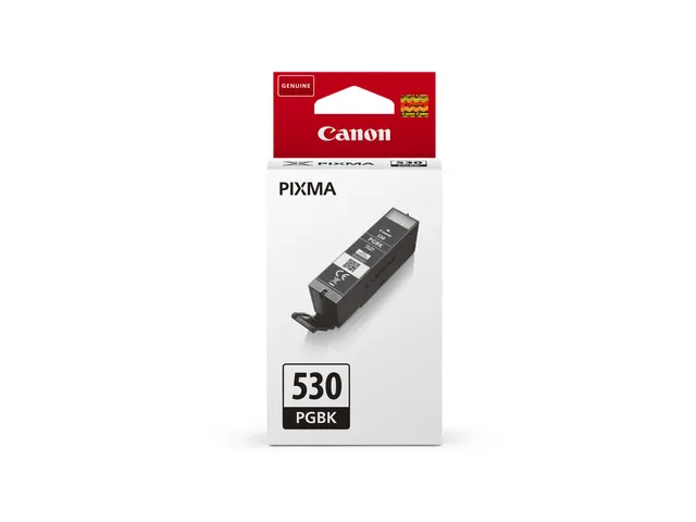 Cartouche Canon PGI530 Noir